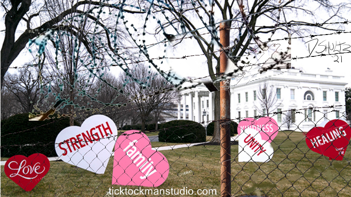 White House Valentine's Display